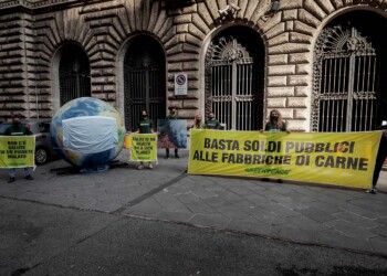 GREENPEACE IN AZIONE DAVANTI AL MIPAAF: «BASTA SOLDI PUBBLICI ALLE FABBRICHE DI CARNE»