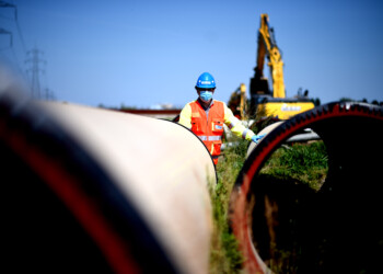 Gruppo CAP con Forestami verso l’obiettivo di Carbon Neutrality