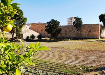 “Il Giardino di Maredolce” aderisce alle “Giornate nazionali di valorizzazione di parchi e giardini storici”