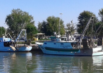 Alleanza Cooperative Italiane: vogliono chiudere la pesca