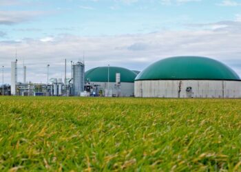 Il CEO di Clean Energy Fuels sugli investitori di Reddit: “loro hanno capito”