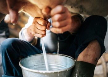 Inalpi, oggi primo player piemontese