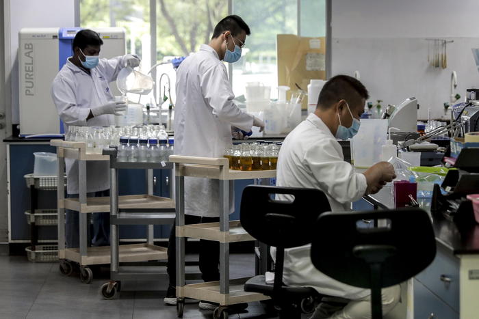 Leucemie, farmaci mirati hanno cambiato la storia delle cure