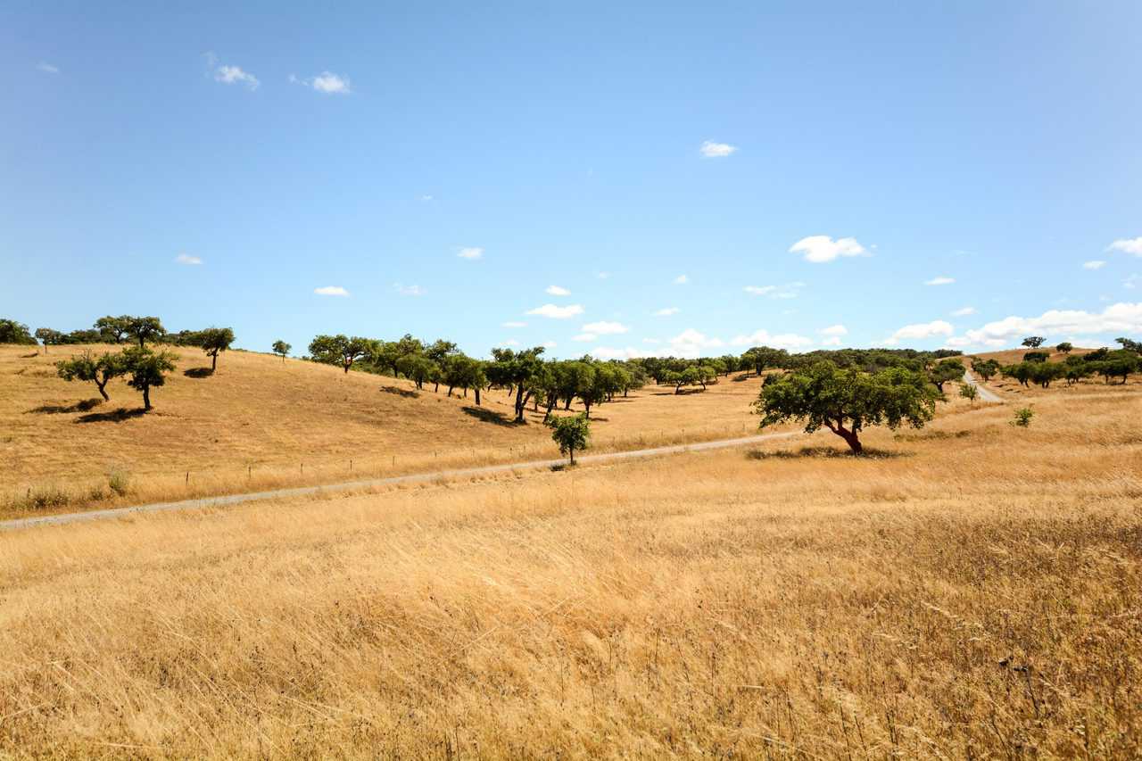 Condizioni meteo tipiche del Mediterraneo sull'Italia, con siccità estiva.