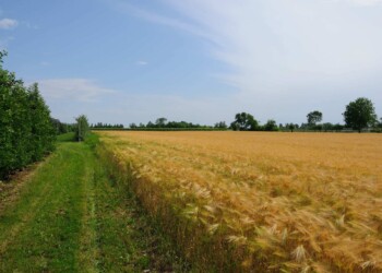 RIFORMA PAC, THURN VALSASSINA: NUOVA SFIDA PER GLI AGRICOLTORI