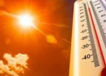 Ondate di calore e siccità! Tutela della risorsa acqua.