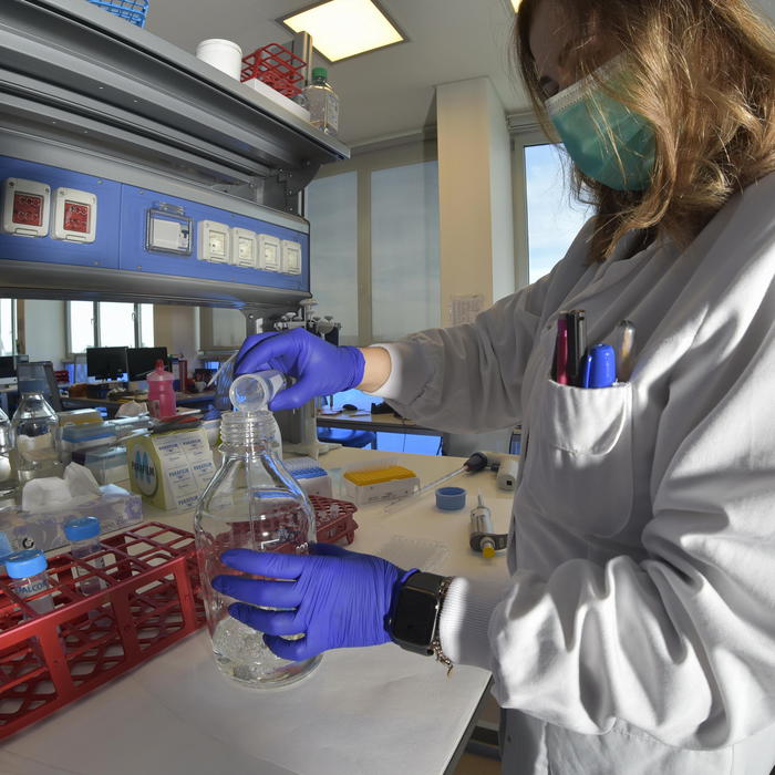 Studio Iss, caffeina ha effetto protettivo contro melanoma