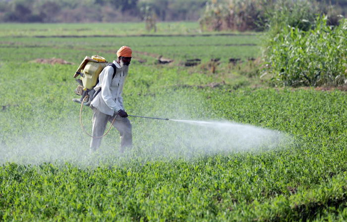 Svizzera:sondaggio, respinto referendum su divieto pesticidi