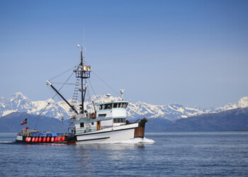 Giornata mondiale dell’Oceano 2021: Oceano fonte di vita e sostentamento globale