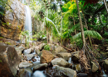 SEYCHELLES TOURISM BOARD ADERISCE AL GLOBAL IMPACT NETWORK