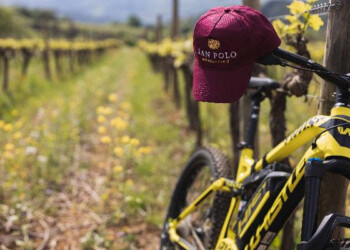 Fra vigne, calici e location da sogno, l’enoturismo è su Winelivery!