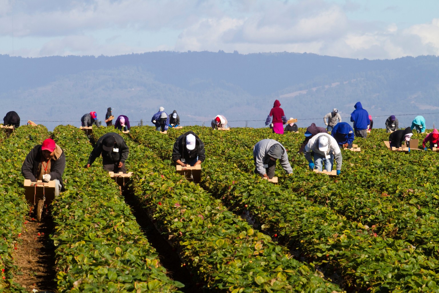 AGRO PONTINO, TERRA DI EMARGINAZIONE E SFRUTTAMENTO  DOKITA: «L’INTEGRAZIONE COMINCIA A SCUOLA»