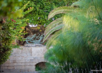 Fonte Aretusa Siracusa