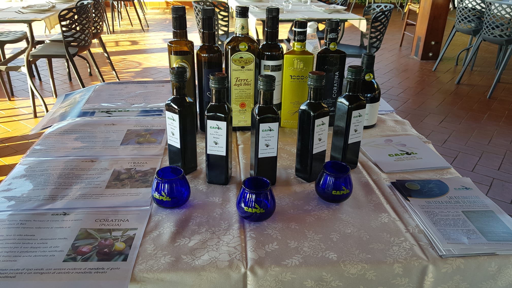 L’Olio Extravergine “Alta qualità”: l’Itrana delle Colline Pontine ospita la Bianchera Istriana