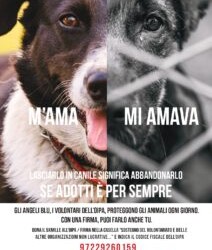 “M’AMA, MI AMAVA” È LO SLOGAN DELLA CAMPAGNA ANTIABBANDONO 2021 DELL’OIPA