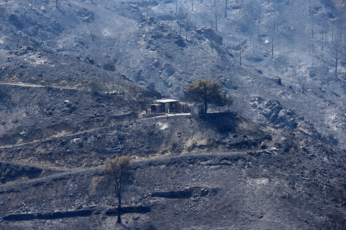 Cipro: incendio quasi domato, ma si teme il forte vento