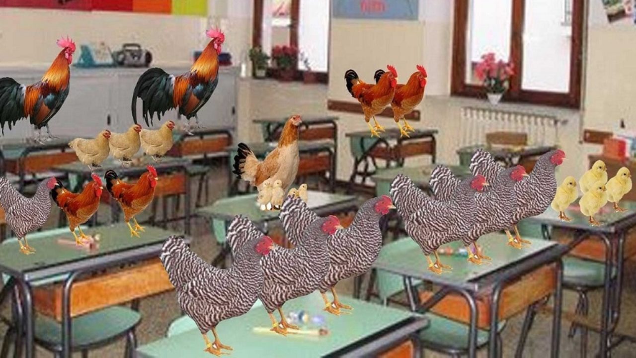Roma: Presidi Andis, Ufficio scolastico intervenga su classe pollaio di 46 alunni