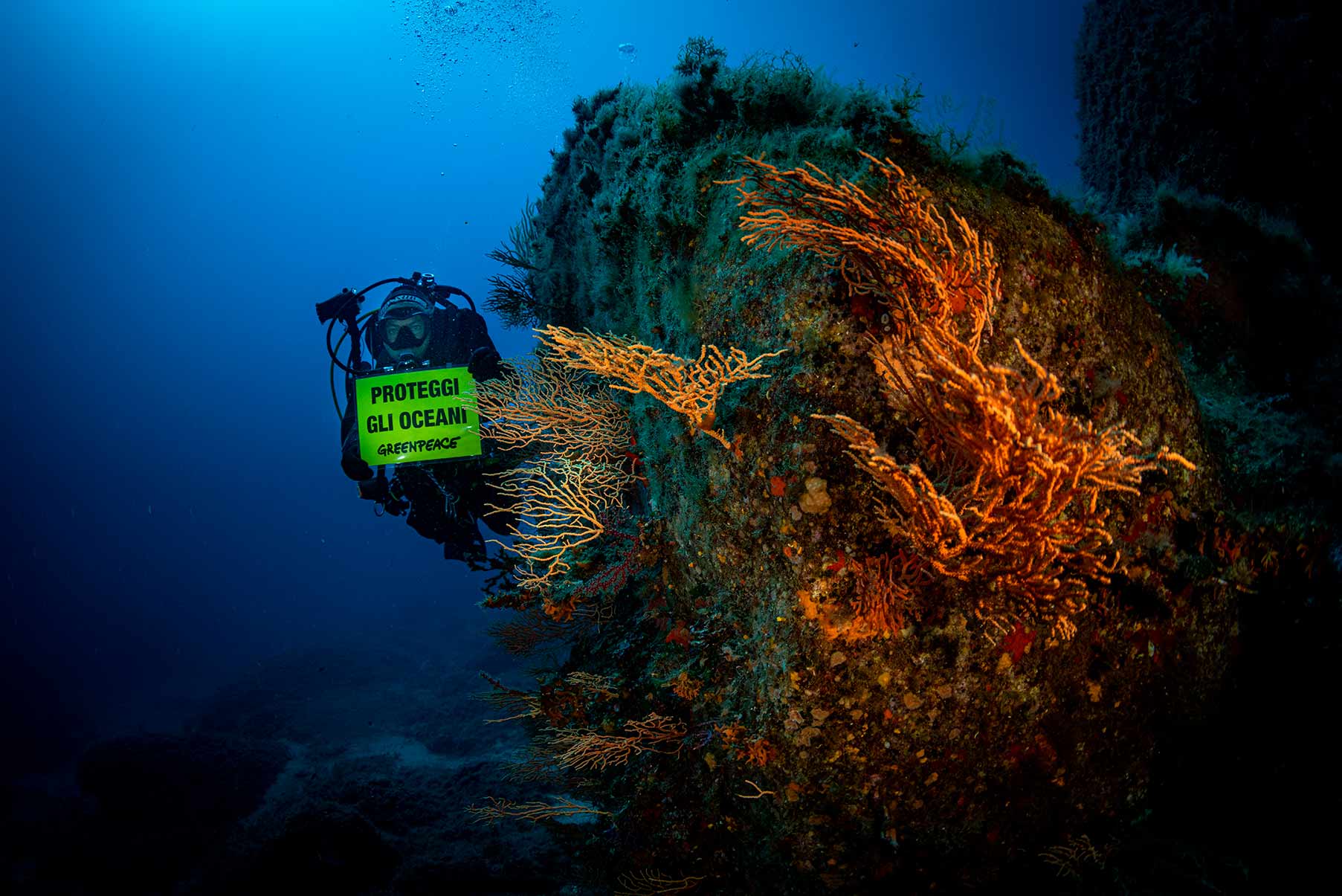 GREENPEACE: DAL TIRRENO ALL’ADRIATICO, I CAMBIAMENTI CLIMATICI MINACCIANO ANCHE LA BIODIVERSITÀ DEI NOSTRI MARI
