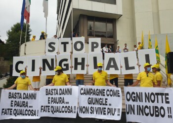 Coldiretti Marche, il flash mob in Regione: “Serve un piano straordinario di abbattimenti”