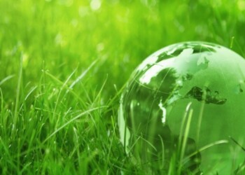 L’Agenzia per l’Italia Digitale gestisce, tra gli altri, anche i dati territoriali, elemento conoscitivo base per tutte le politiche di gestione del territorio.