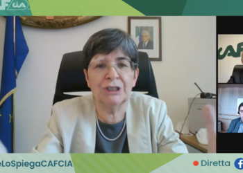 FISCO, CAF-Cia incontra la sottosegretaria Guerra, confronto su riforma fiscale ed effetto Covid sui redditi