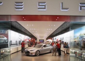 Idea Musk, dalle Tesla ai ristoranti