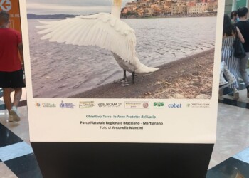 Festival della Sostenibilità – Apre la mostra fotografica “Obiettivo Terra: le Aree Protette del Lazio”