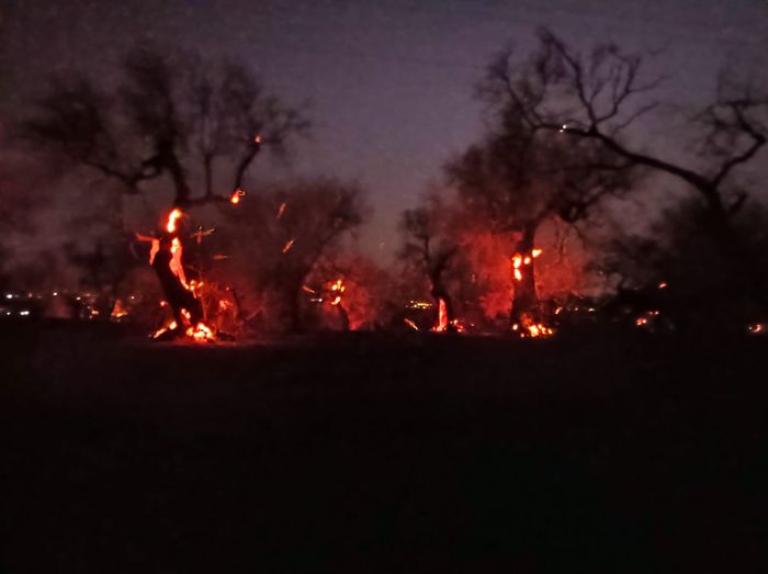 Incendi in Italia, spenti sei roghi