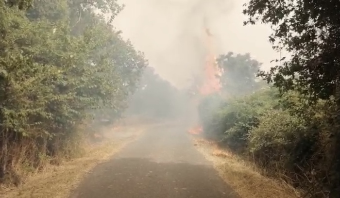 Vasto rogo nell’Oristanese, evacuate case a Santu Lussurgiu