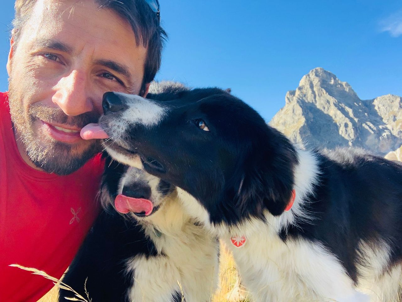 Prima di educare il cane, va istruito il suo padrone!