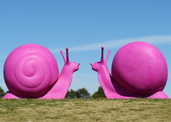 L’arte incontra la sostenibilità nella prima mostra diffusa di Cracking Art in Sardegna, in scena nelle “Gallerie Sardegna” di Nhood a Olbia, Sassari e Cagliari