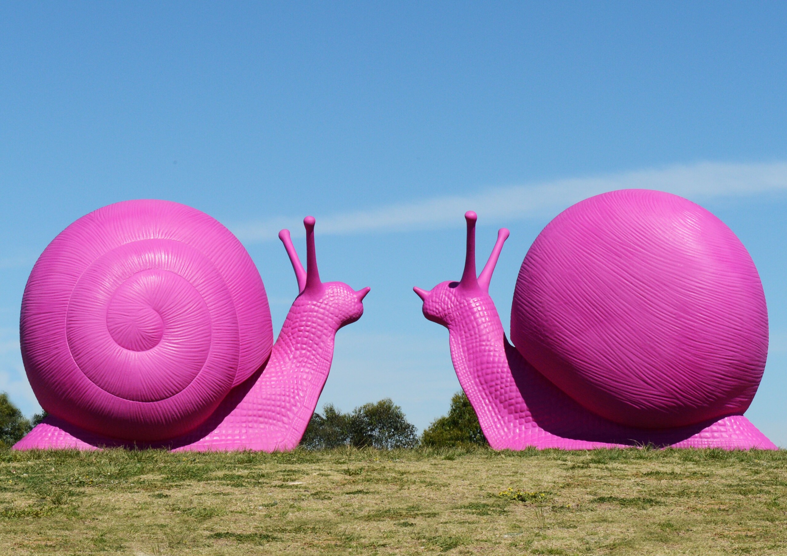 L’arte incontra la sostenibilità nella prima mostra diffusa di Cracking Art in Sardegna, in scena nelle “Gallerie Sardegna” di Nhood a Olbia, Sassari e Cagliari