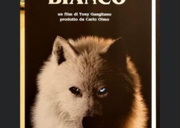 Guia Jelo per Cinemaset di Antonio Chiaramonte al Festival del Cinema di Venezia con ‘Lupo Bianco’