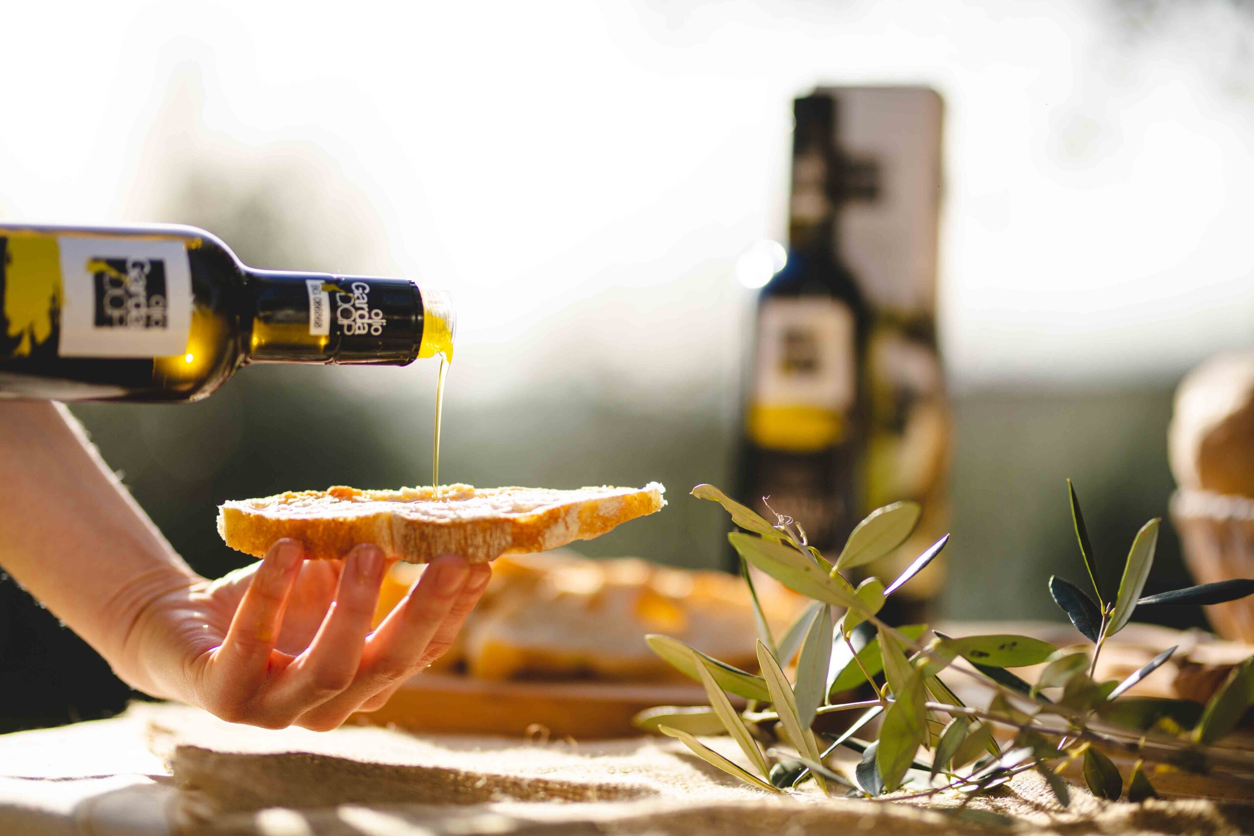 TRA PIZZA, PANE E… OLIO GARDA DOP, ALLA SCOPERTA DELLA QUALITÀ