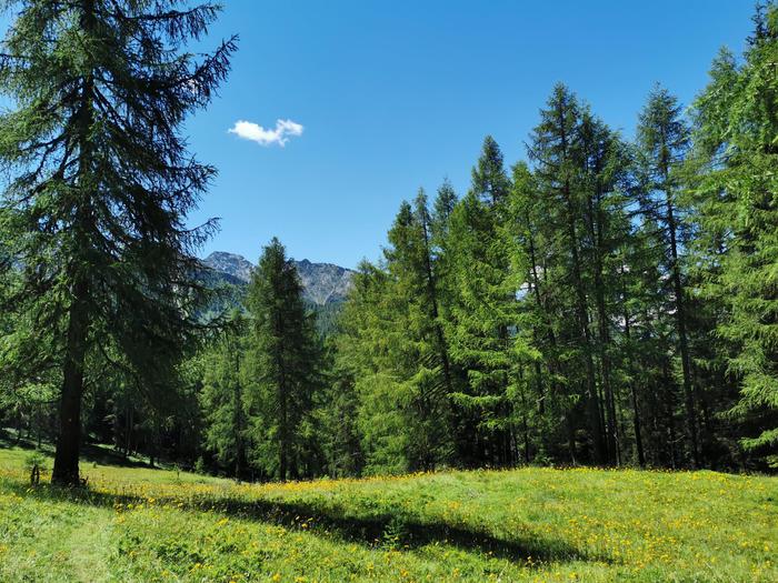 Covid: un positivo a raduno hippie Mugello, isolato il bosco