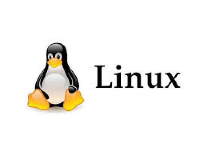Trent’anni fa rivoluzione Linux, il software ‘libero’