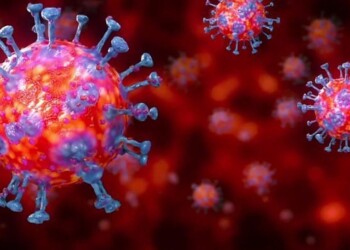 Un programma governativo americano prevede di sviluppare vaccini "prototipo" per proteggere da 20 famiglie di virus