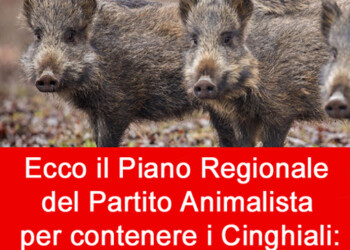 Il Partito Animalista stamane presenta il “Piano Regionale per il Contenimento dei Cinghiali”, in modo incruento e senza massacri
