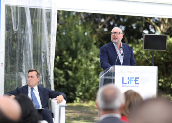 Imprese, Mattioli: «Il comparto dei Servizi pronto ad un patto per il Lavoro»