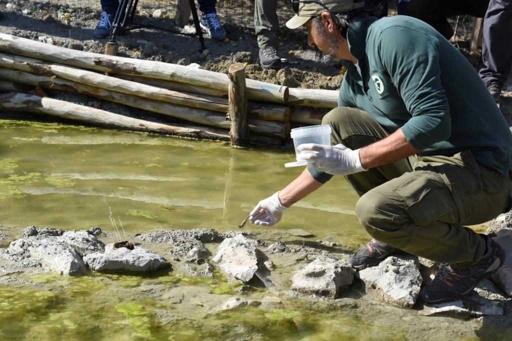 RILASCIATI IN NATURA 33 RARI ULULONI APPENNINICI
