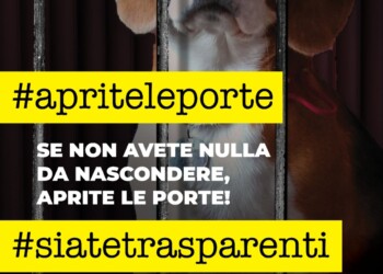 BEAGLE-CAVIA A VERONA. MANIFESTAZIONE DELLE ASSOCIAZIONI ANIMALISTE A VERONA