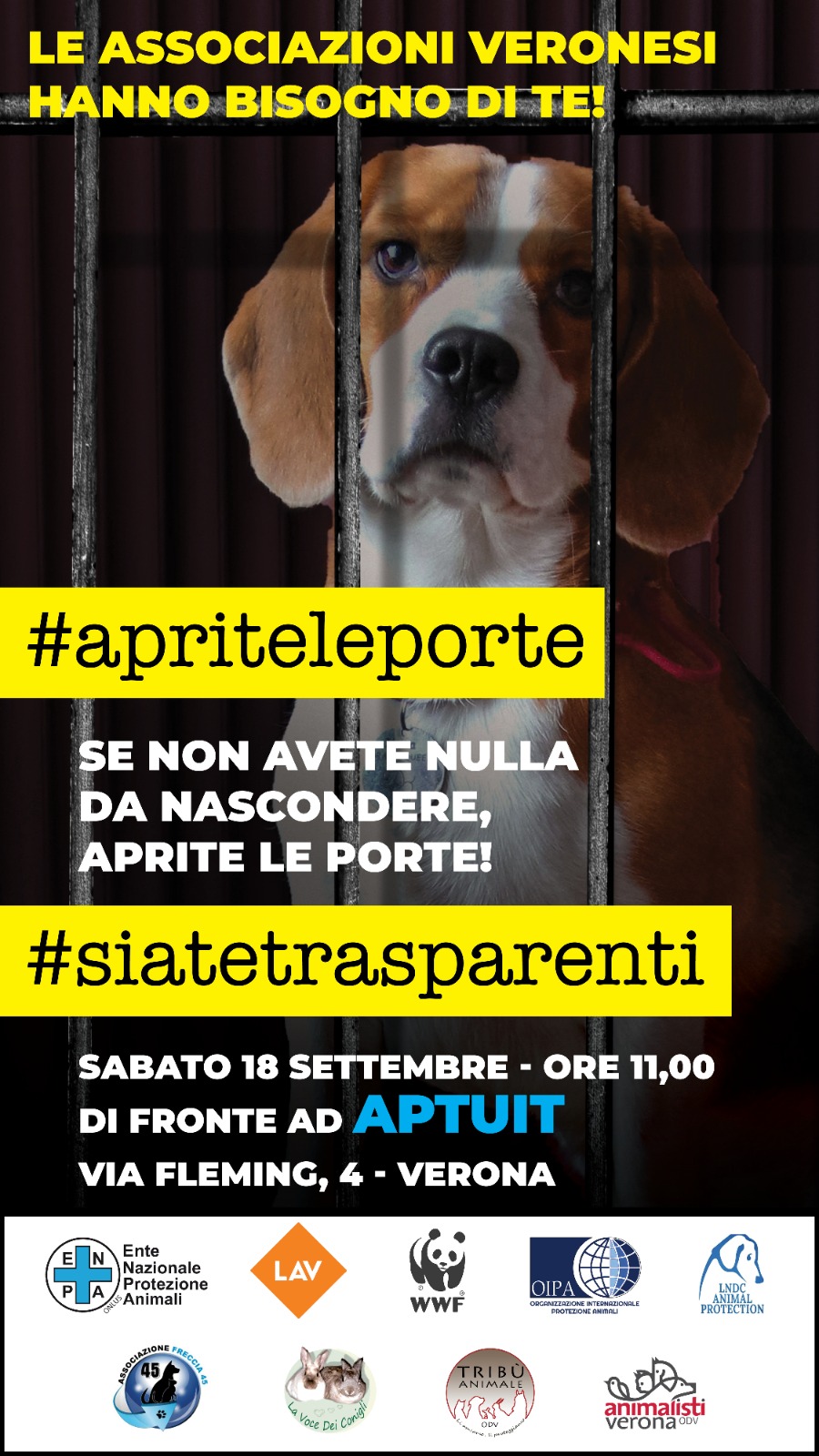 BEAGLE-CAVIA A VERONA. MANIFESTAZIONE DELLE ASSOCIAZIONI ANIMALISTE A VERONA