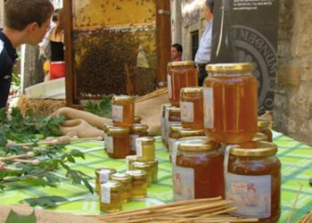 CIA Puglia alla Regione: “Stato di Calamità per l’apicoltura e le altre colture”