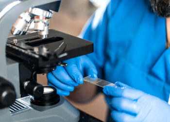 Ecco perché le azioni di Cellect Biotechnology sono salite del 50% lunedì