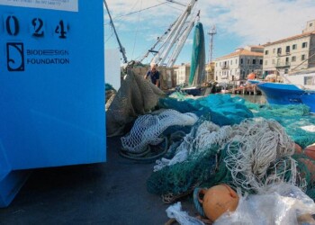 Nasce l’organizzazione no profit che si occupa di trovare soluzioni concrete ai problemi ecologici del pianeta