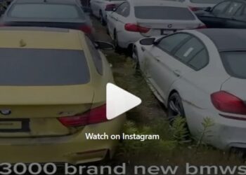 Quel cimitero dimenticato in Canada di 3 mila Bmw