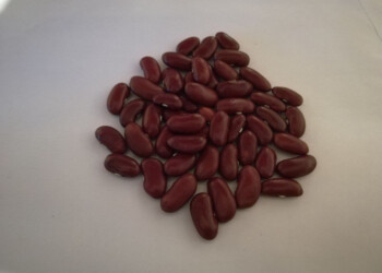 I fagioli dei Nebrodi, in Sicilia, sono un nuovo Presidio Slow Food