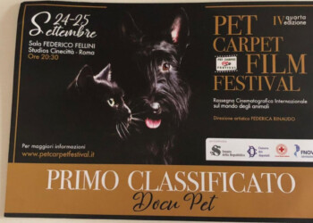 Il docufilm dedicato al Centro Recupero Ricci La Ninna ha vinto il Pet Carpet Film Festival