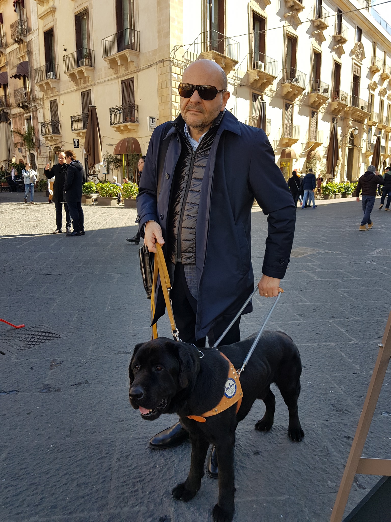 20 OTTOBRE, GIORNATA NAZIONALE DEL CANE GUIDA