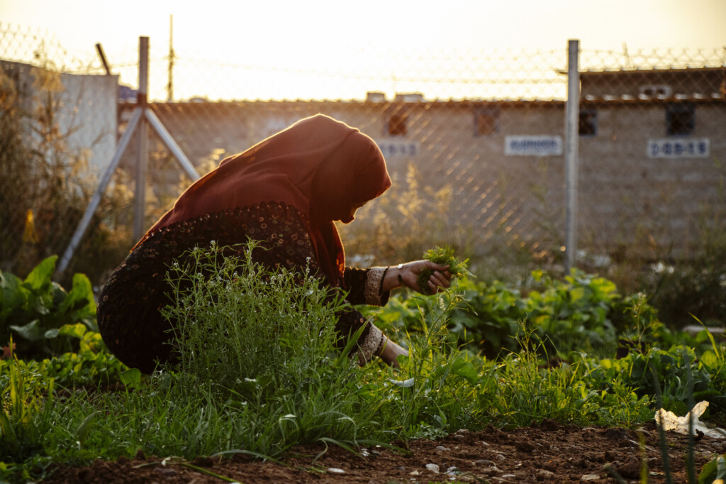 CONFLITTI, COVID E CAMBIAMENTI CLIMATICI AFFAMANO IL MONDO.